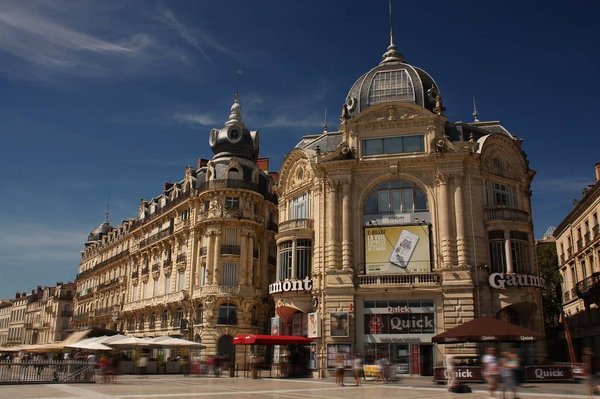 Le sport à Montpellier